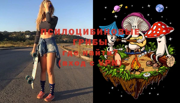 гашик Белокуриха
