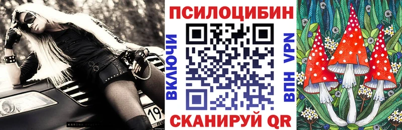 цена   ОМГ ОМГ зеркало  Галлюциногенные грибы прущие грибы  Северск 